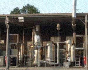 Sustainable Solutions to Belize Citrus Pollution