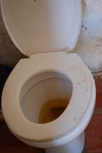 But we only have one toilet...