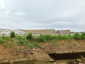 Banks along the sea shore