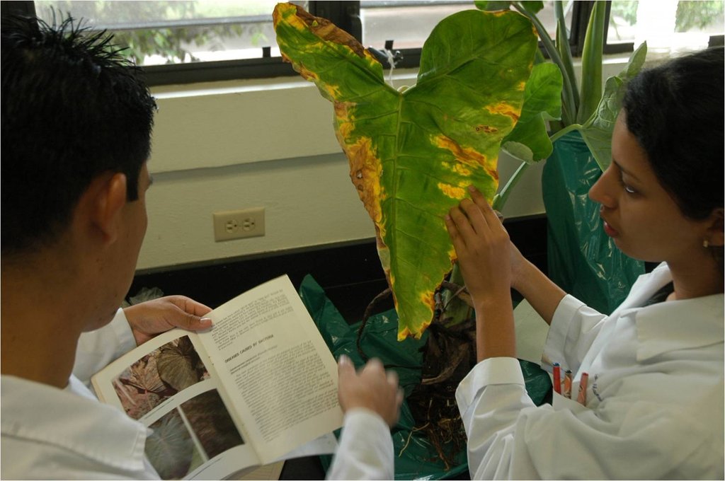 Buy a Dream for a Student at EARTH University