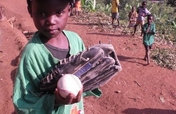 Expand Youth Baseball and Softball in Uganda