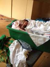This girl's mother passed away while giving birth