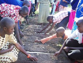 Planting carrots