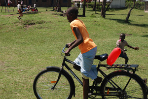 Our 6 Buffalo Bikes are still "in action"