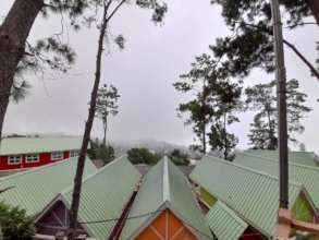 the rooftops of the kids' houses