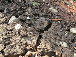 The Dry Dry Ground