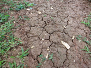 The dry land