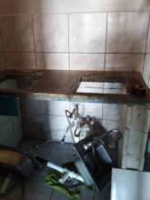 Sink Tear-out