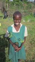 Taking trees home to families