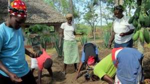 Women's Group planting moringa trees