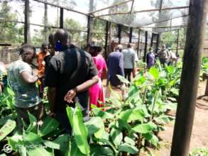 garden workshop