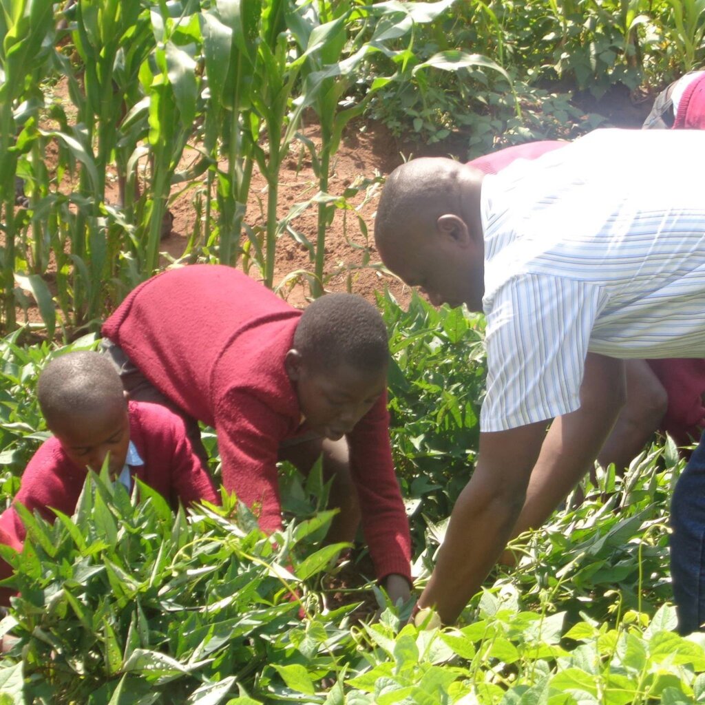 Combating Climate Change with Agroecology