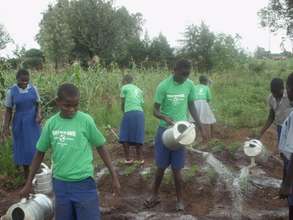 Youth group watering moringa trees