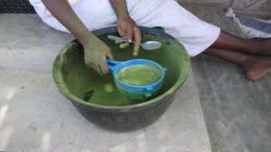 Moringa process