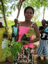 Women growing moringa