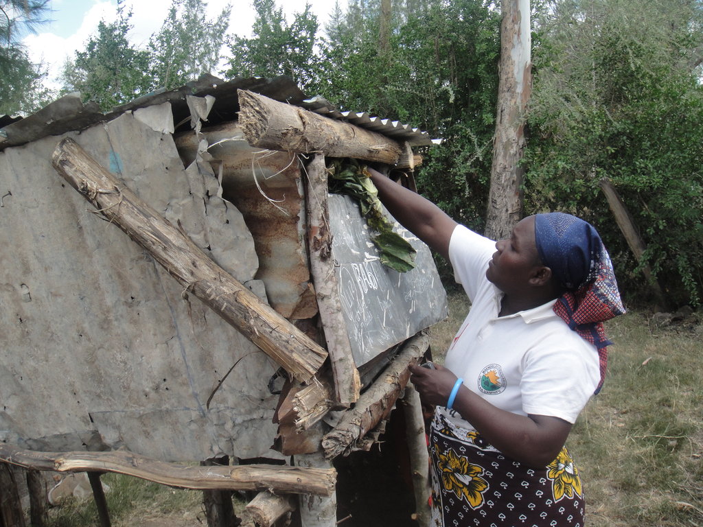 50 solar lanterns 2 economic ventures for makutano