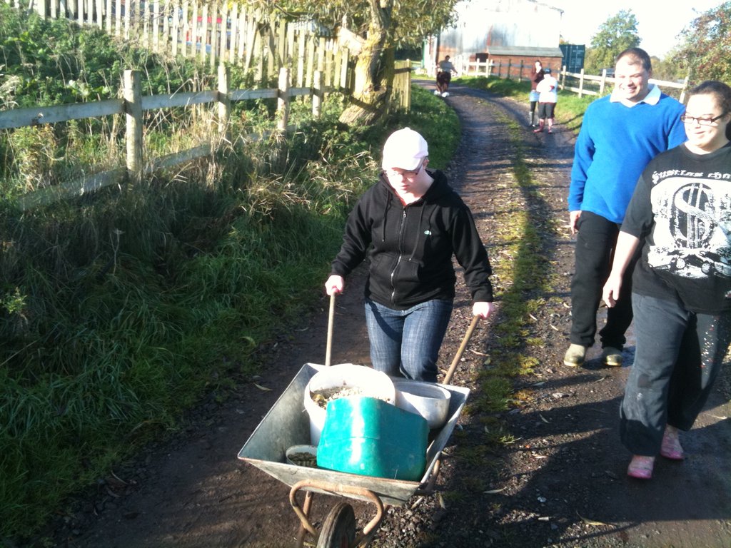 Help Learning Disabled Adults Gain Independence