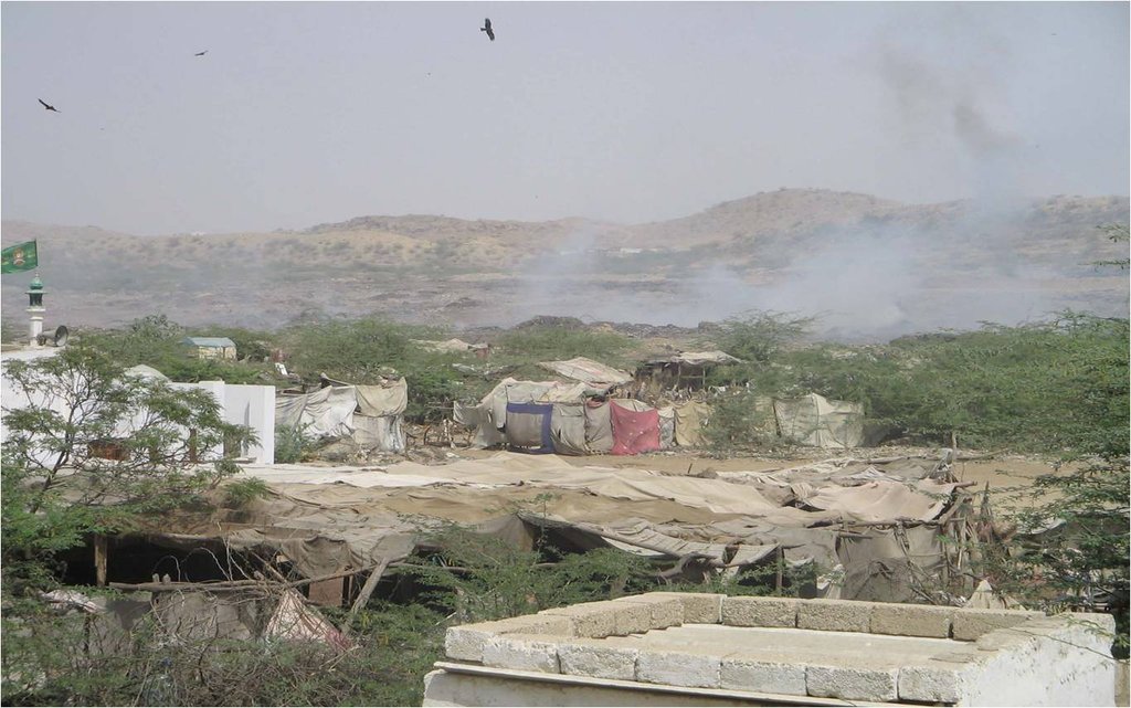 Help Transform 2000 Lives: Wasteland To Homeland
