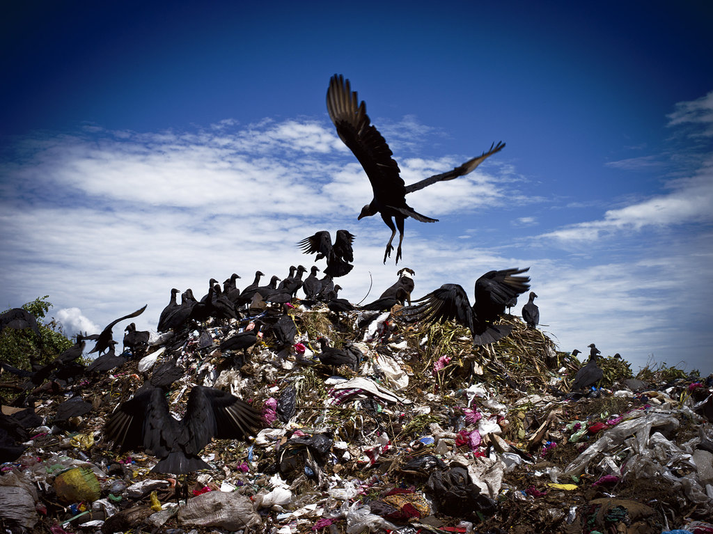Help Transform 2000 Lives: Wasteland To Homeland