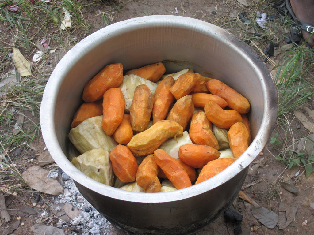 Eating Orange for Better Health in Burkina Faso