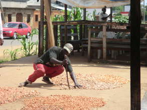 a cocoa farmer drying the fruits of his labor