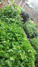 We're looking forward to this month's harvest!