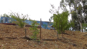 Fruit Tree Orchard