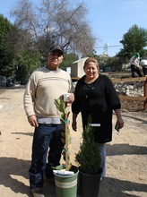 Community residents take trees to plant at home!
