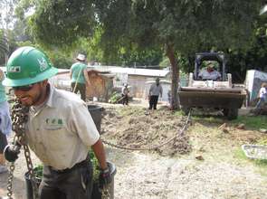 Corpsmembers remove dead trees