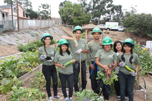 Corpsmembers harvest vegetables for the community