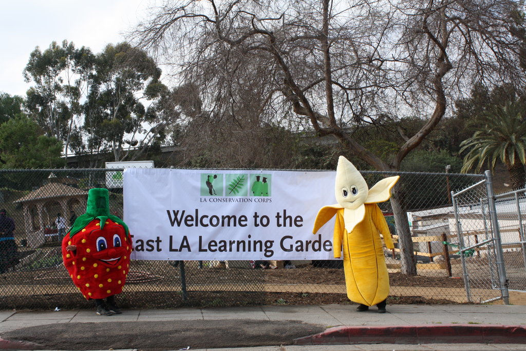 Build a Community Garden and Urban Farm in East LA