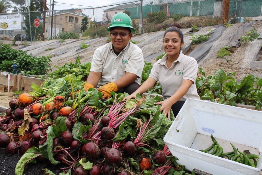 Build a Community Garden and Urban Farm in East LA