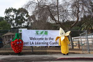 Grand Opening on February 18, 2013