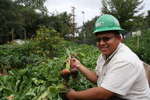 Hernan and beets