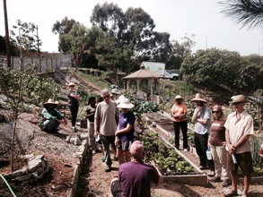Spring gardening classes 2