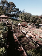 Spring gardening classes 4