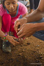 Tree Planting Project