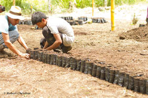 Tree Planting Project