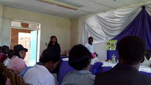 Stakeholder workshop