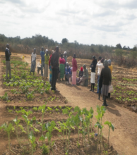 A Flourishing Nutritional Garden