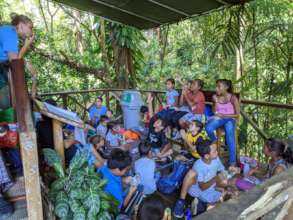 Butterfly field trip