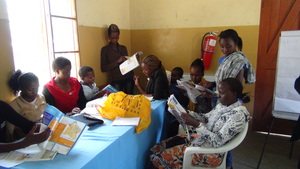MGEF Students at Mentoring Workshop-December 2013