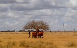 Students Gather Under a Tree