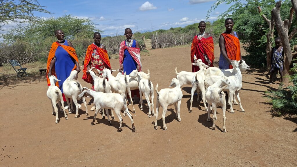 The Goats Arrive For Cohort #4