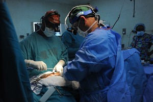 Corrective Surgery in Progress