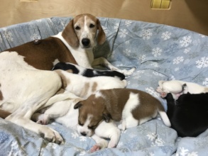 Mae and babies
