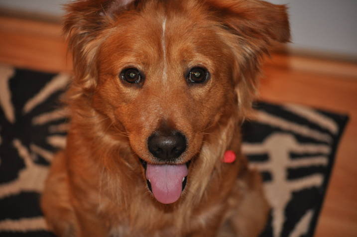 Shiloh