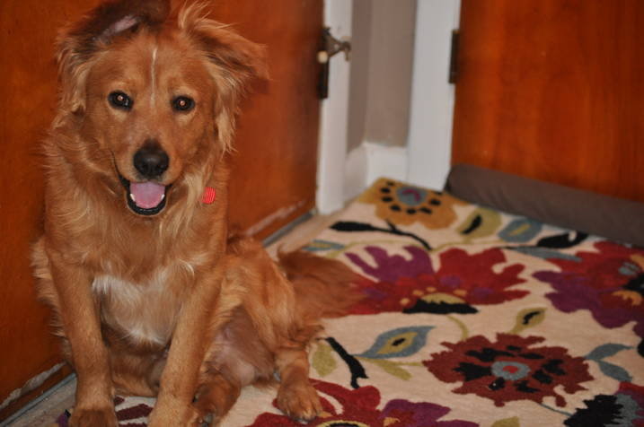 Shiloh