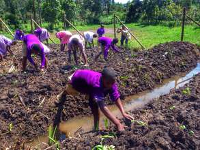 Children engaged in their school garden