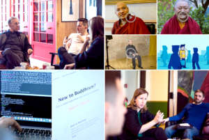 Website development team & projects